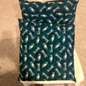 Pair of Eagles pillows custom made